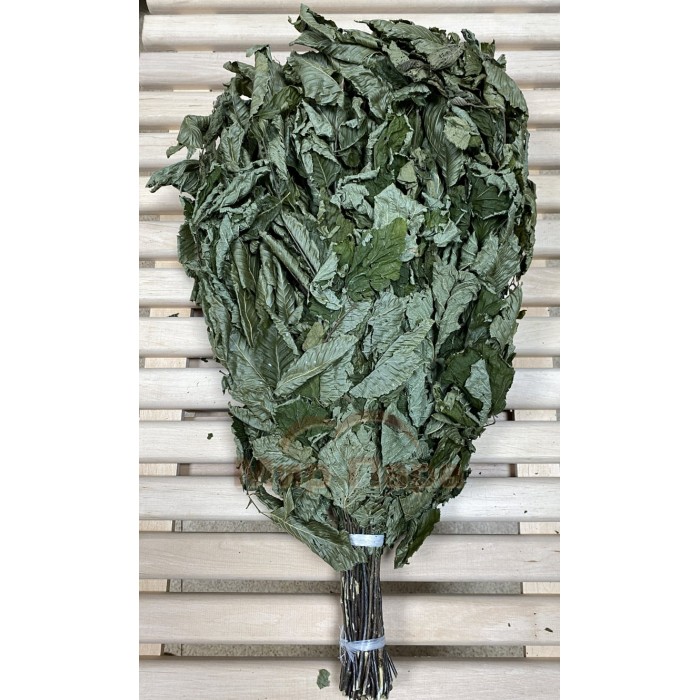 Веник банный "ОРЕШНИК"