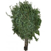 Веник банный "МОЖЖЕВЕЛЬНИК"