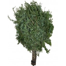 Веник банный "МОЖЖЕВЕЛЬНИК"