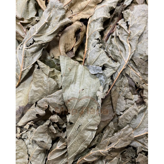 Веник банный "ОЛЬХА"