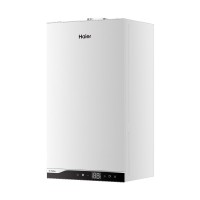 Газовый котел Haier TechLine S 2.24 TW