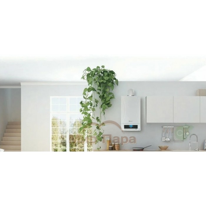 Газовый котел Thermex Hydra HS 24