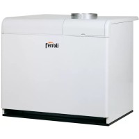 Газовый котел Ferroli PEGASUS 67 2S