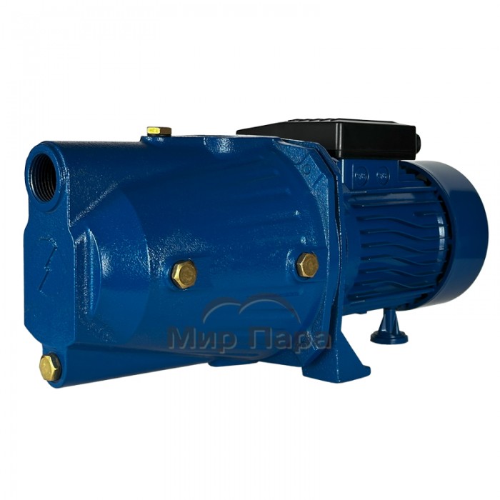Поверхностный насос MAXPUMP JSW 900