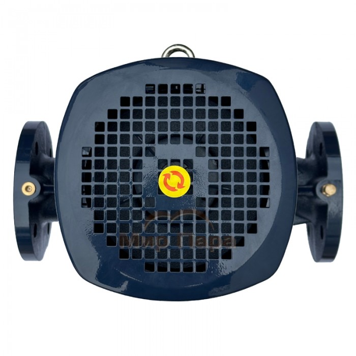 Циркуляционный насос MAXPUMP IL 65-310/30