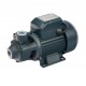 Поверхностный насос без бака UNIPUMP QB 60