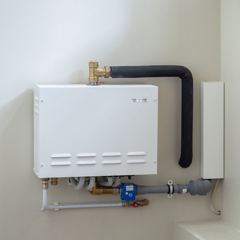 Парогенераторы Tylo Парогенераторы Tylo купить