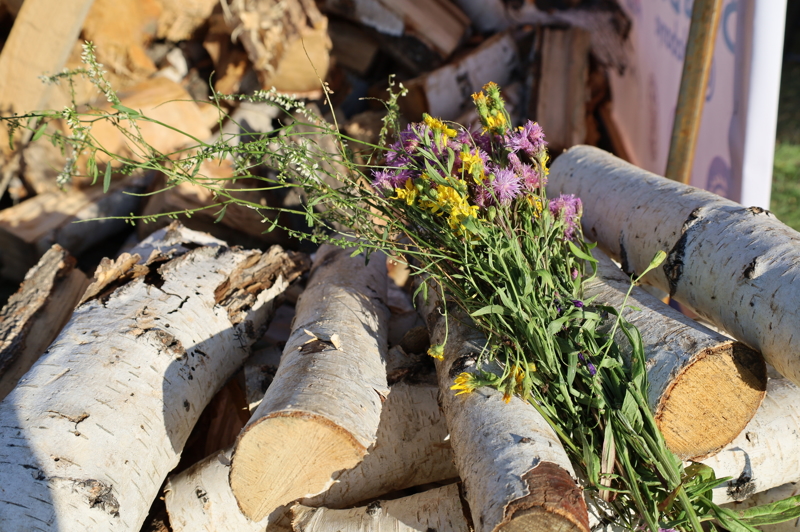 Паротермальная печь: русская баня в формате электро