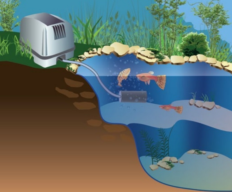 Воздушные насосы для септиков и прудов Воздушные насосы для септиков и прудов купить